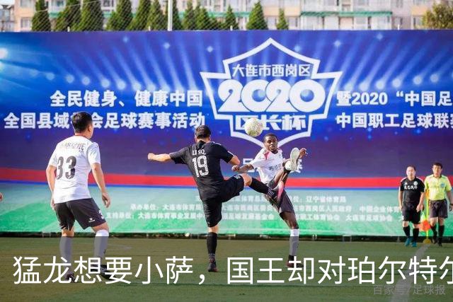 猛龙想要小萨，国王却对珀尔特尔不感冒